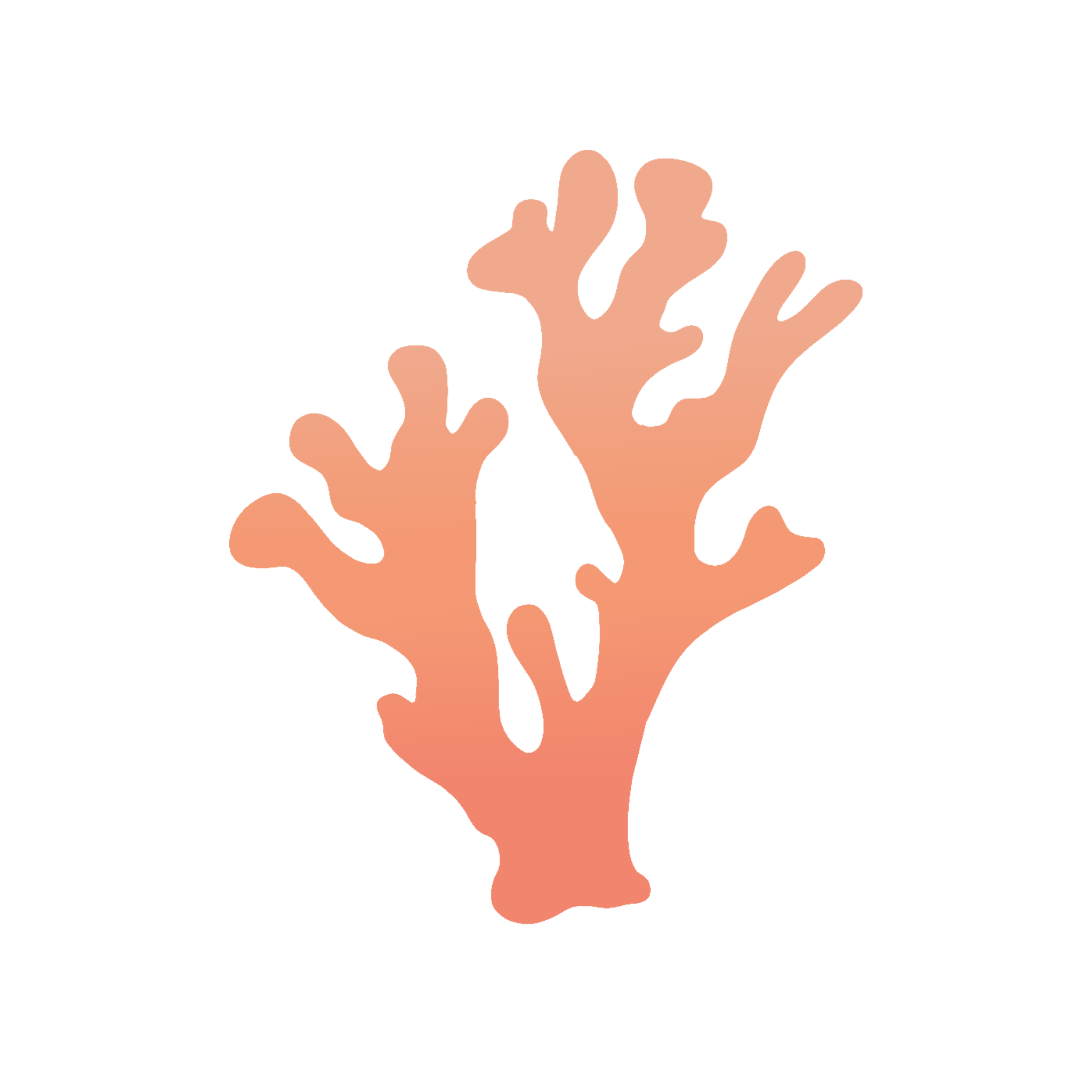 korallpt
